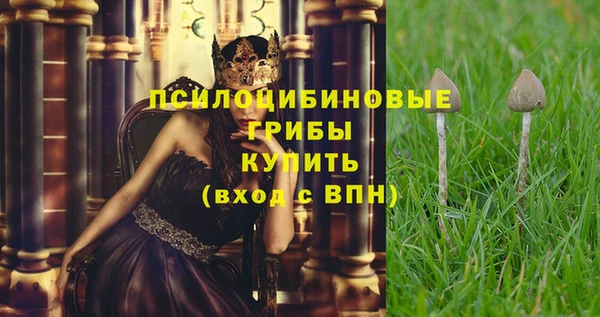 дурь Арсеньев