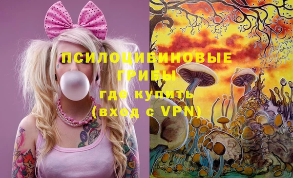 дурь Арсеньев
