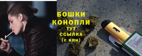 кокс Ельня